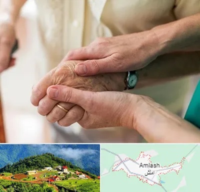 نگهداری سالمندان در املش