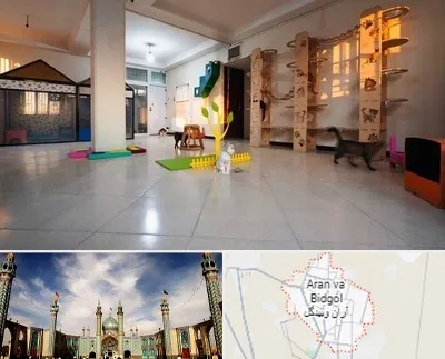 پانسیون گربه در آران و بیدگل