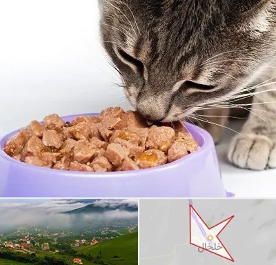 فروشگاه غذای گربه در خلخال