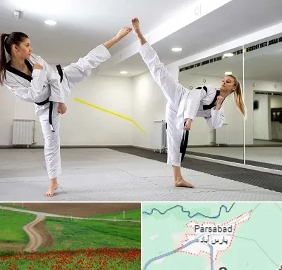 باشگاه دفاع شخصی بانوان در پارس آباد