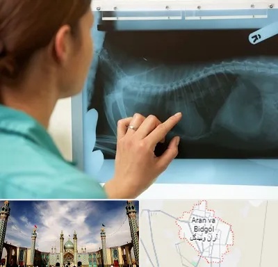 رادیولوژی پرندگان در آران و بیدگل