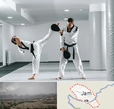 باشگاه رزمی در جم