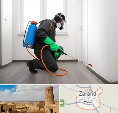 سمپاشی ساس و سوسک در زرند