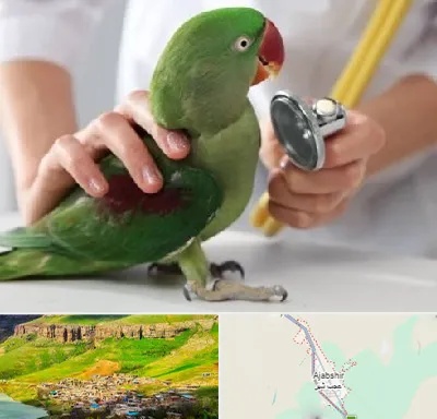 درمانگاه شبانه روزی پرندگان در عجب شیر