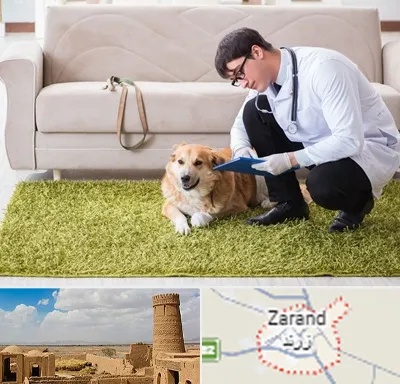 دامپزشکی در منزل در زرند
