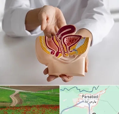 دکتر دستگاه تناسلی مردان در پارس آباد
