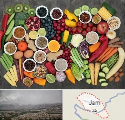 دکتر تغذیه برای چاقی در جم