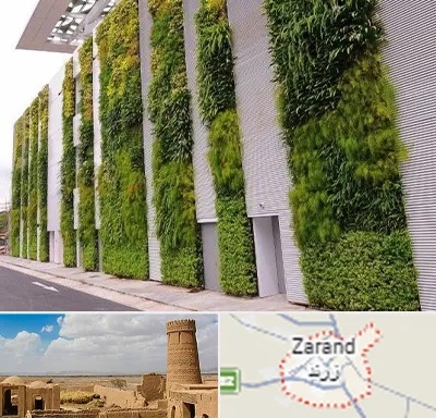 دیوار سبز در زرند