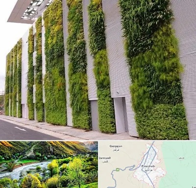 دیوار سبز در پیرانشهر
