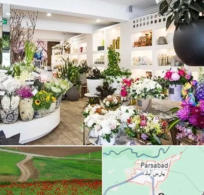 گل فروشی در پارس آباد