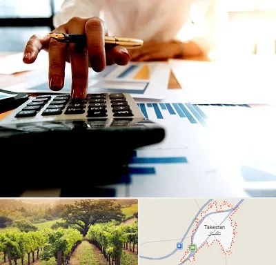 مشاور مالیاتی در تاکستان