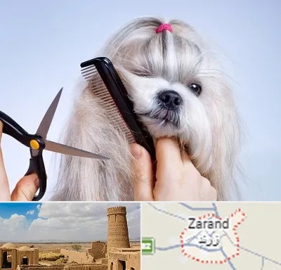 آرایشگاه حیوانات خانگی در زرند
