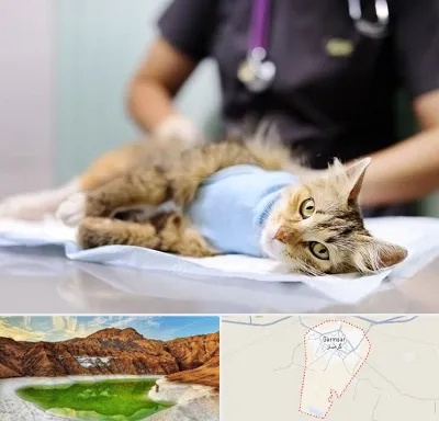 جراح حیوانات در گرمسار