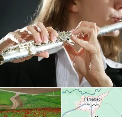 آموزشگاه فلوت در پارس آباد