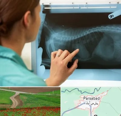رادیولوژی پرندگان در پارس آباد