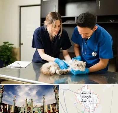 دامپزشکی سیار در آران و بیدگل