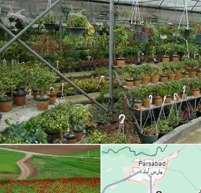 بازار گل و گیاه در پارس آباد