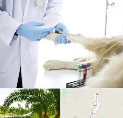 آزمایشگاه حیوانات در کهنوج