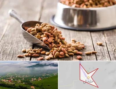 فروشگاه غذای حیوانات خانگی در خلخال