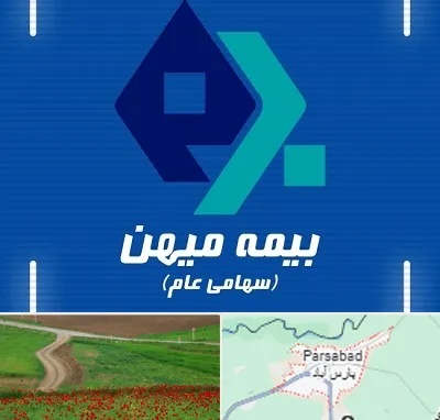 بیمه میهن در پارس آباد
