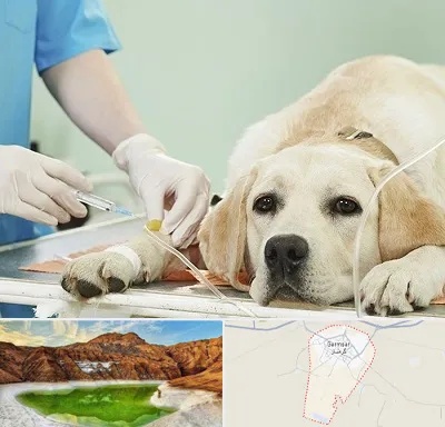 دامپزشک جراح در گرمسار