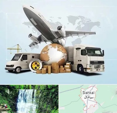 شرکت واردات و صادرات در سیاهکل