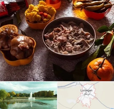 طباخی در لردگان