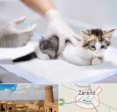 واکسیناسیون حیوانات در زرند