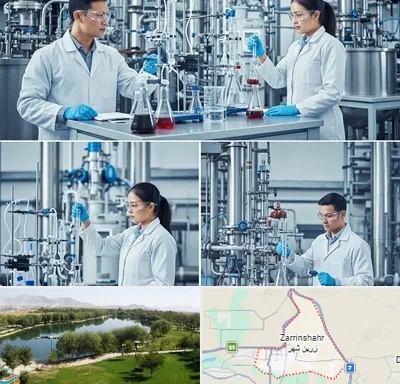صنایع شیمیایی در زرین شهر