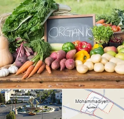 فروشگاه محصولات ارگانیک در محمدیه
