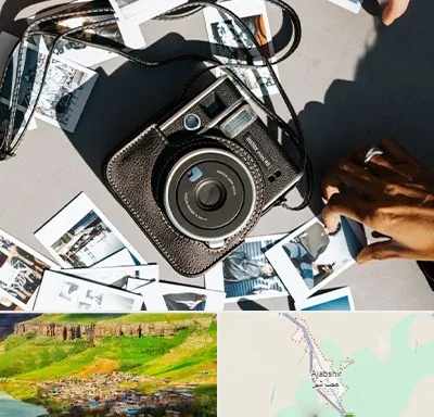 عکس فوری در عجب شیر