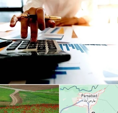 مشاور مالیاتی در پارس آباد