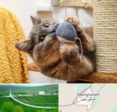 خرید اسباب بازی گربه در مشگین شهر
