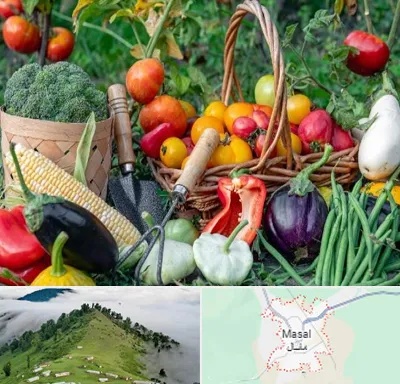 فروشگاه لوازم کشاورزی در ماسال