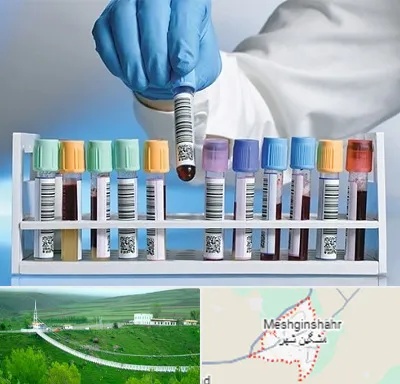 آزمایشگاه شبانه روزی در مشگین شهر