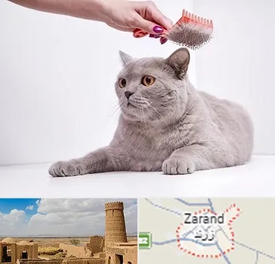 آرایشگاه گربه در زرند