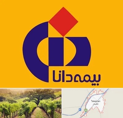 بیمه دانا در تاکستان
