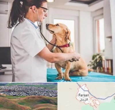 عقیم سازی سگ در فارسان