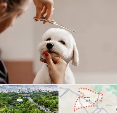 آرایشگاه پت در البرز