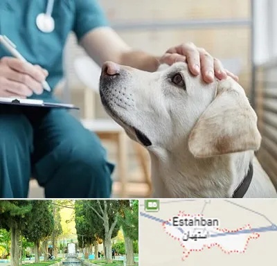 کلینیک دامپزشکی در استهبان