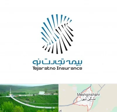 بیمه تجارت نو در مشگین شهر