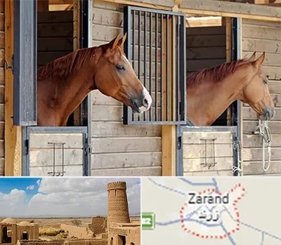 پانسیون اسب در زرند