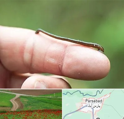 مرکز زالو درمانی در پارس آباد