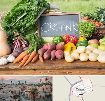 فروشگاه محصولات ارگانیک در طبس