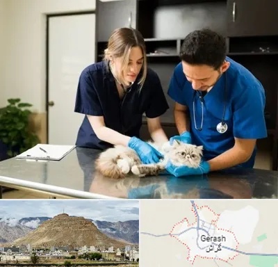 دامپزشکی سیار در گراش