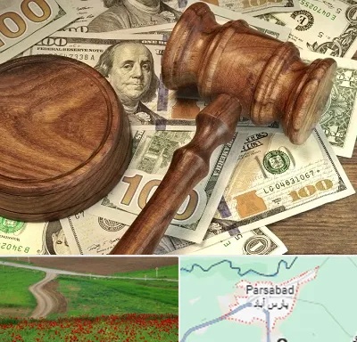وکیل امور مالی در پارس آباد