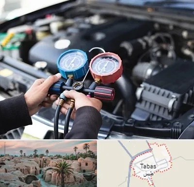 شارژ کولر خودرو در طبس