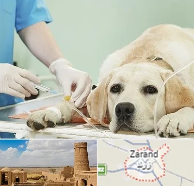 دامپزشک جراح در زرند