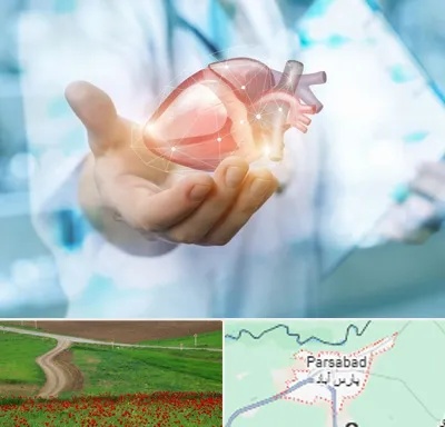 دکتر الکتروفیزیولوژی بالینی قلب در پارس آباد