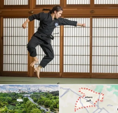 باشگاه نینجا در البرز